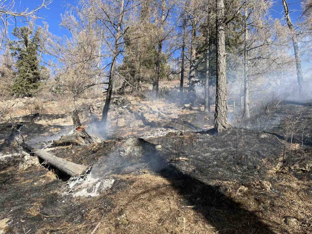 БОГДХАН УУЛЫН "ЗҮҮН ОРГИЛ"-Д ГАРСАН ОЙН ТҮЙМРИЙГ БҮРЭН УНТРААЛАА