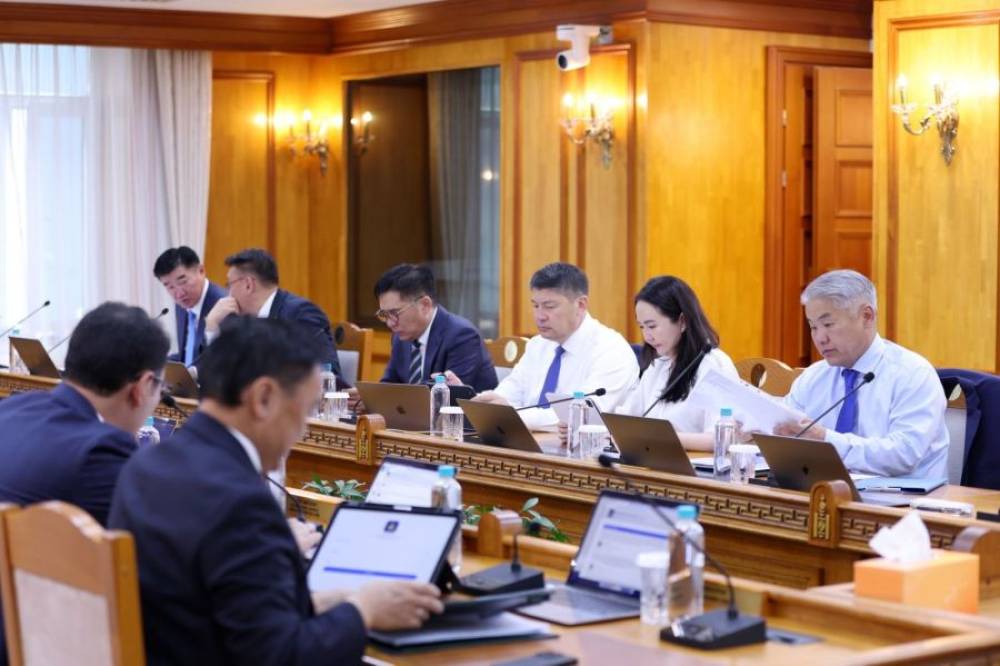 ТӨРИЙН ӨМЧИТ КОМПАНИУДЫН ТООГ ЦӨӨЛНӨ