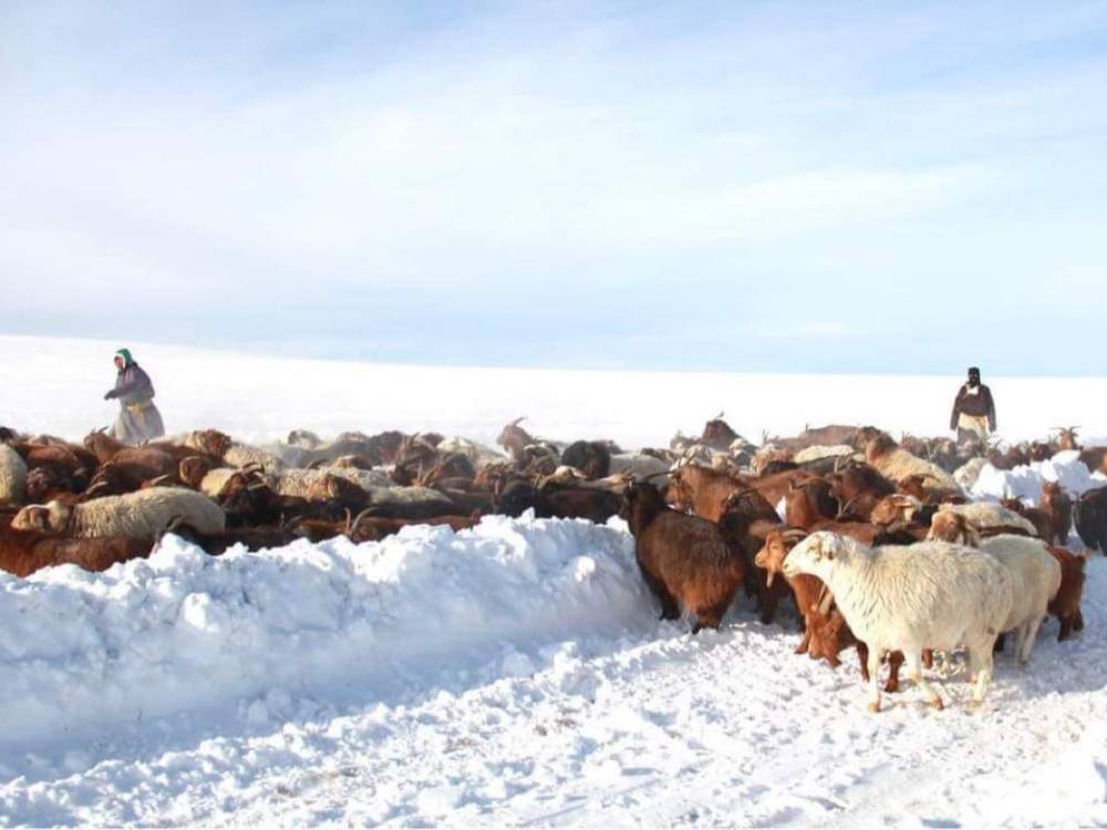 ӨВӨЛЖИЛТ ХҮНДЭРСЭН АЙМГУУДАД УЛСЫН НӨӨЦӨӨС ӨВС, ТЭЖЭЭЛ ХҮРГҮҮЛНЭ