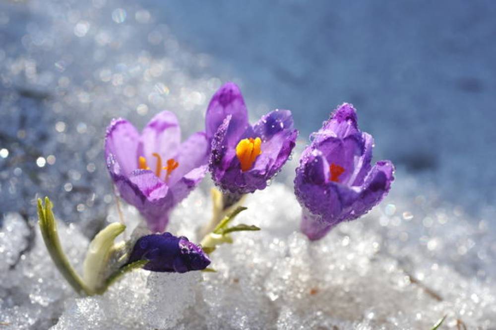 ИРЭХ 4-Р САРЫН ЦАГ АГААРЫН ЕРӨНХИЙ ТӨЛӨВ