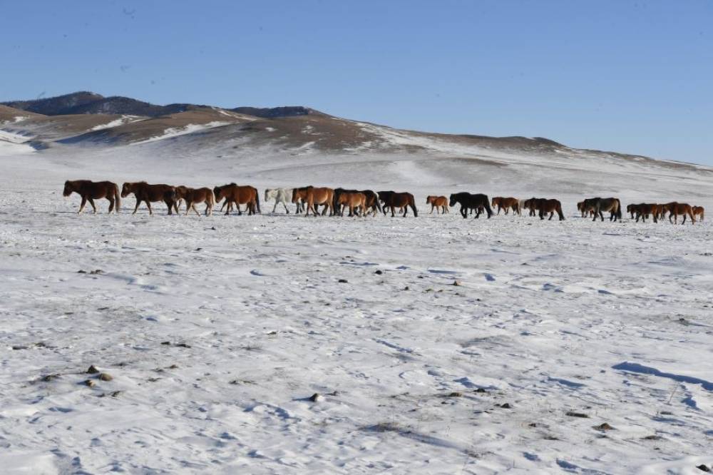 НИЙТ НУТГИЙН 45 ХУВЬД ЦАСТАЙ БАЙНА
