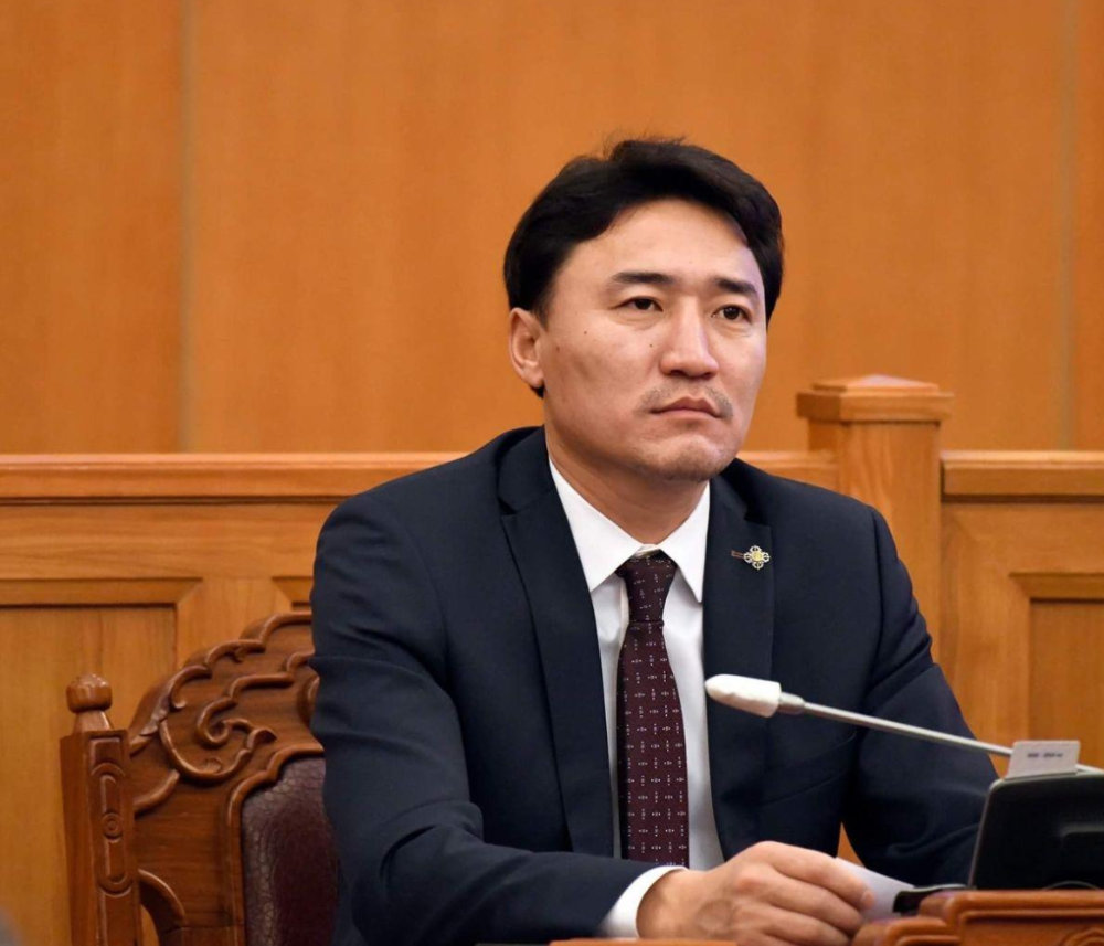 Г.ДАМДИННЯМ: АРВАН ЖИЛИЙН ӨМНӨ "АМЬ ТАВЬСАН" ДУБАЙН ГЭРЭЭНД СУУРИЛСАН МЕНЕЖМЕНТИЙН ГЭРЭЭГ ЗОГСООХЫГ "РОИ ТИНТО"-ООС ХАТУУ ШААРДСАН