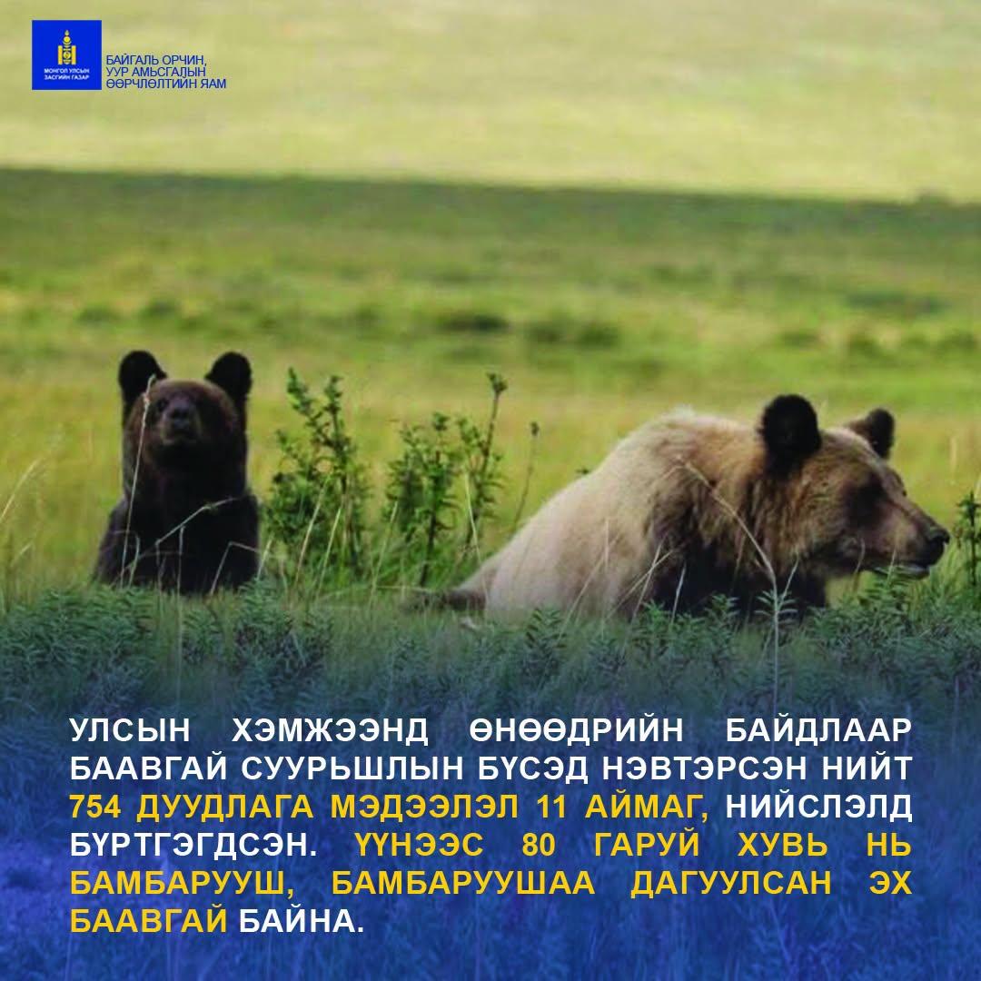СУУРЬШЛЫН БҮСЭД БААВГАЙ ОРЖ ИРСЭН 754 ТОХИОЛДОЛ БҮРТГЭГДЭЖ, 27 АГНАХ ЗӨВШӨӨРӨЛ ОЛГОЖЭЭ